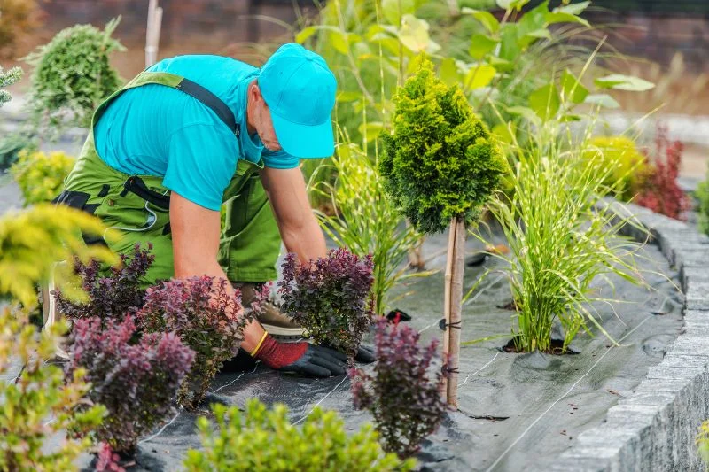 Small Garden Design Tips: Maximize Space and Beauty 4 Best 30+ Small Garden Design Tips