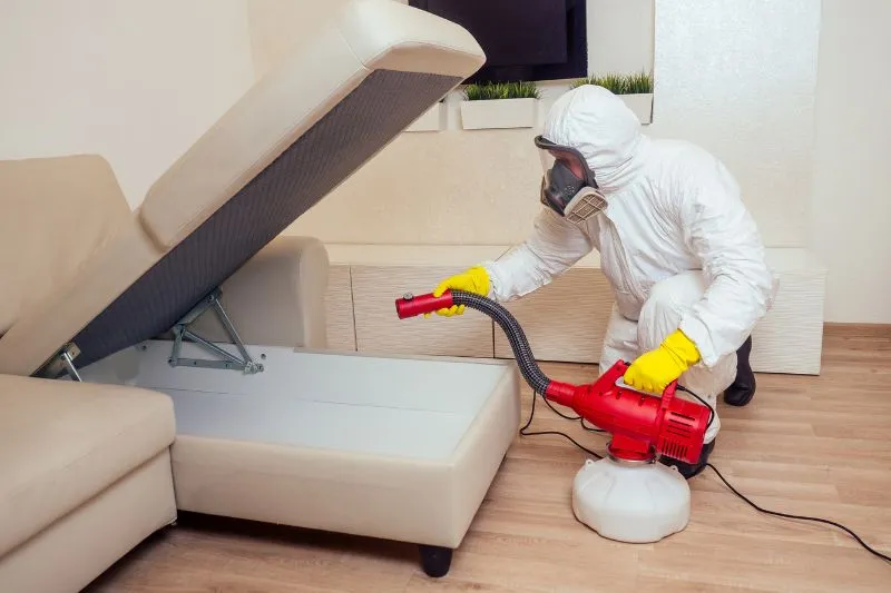 99 Useful DIY Pest Control Tips to Protect Your Home