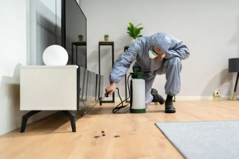 99 Useful DIY Pest Control Tips to Protect Your Home