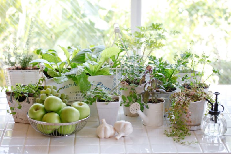 How to Create a Thriving Kitchen Herb Garden