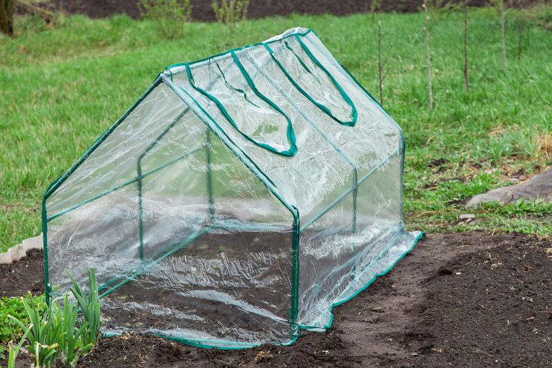 The Best Mini Greenhouses for Urban Gardeners